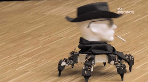 gif (7)