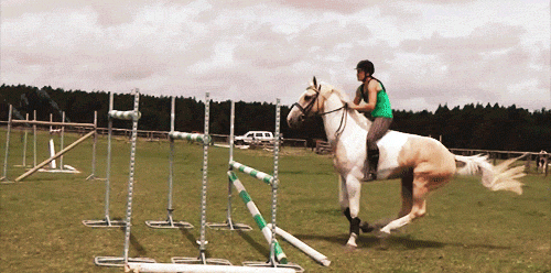 gif (8)