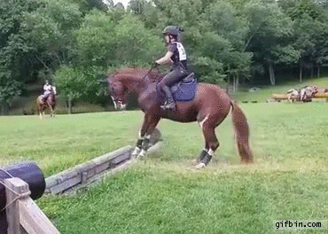 gif (16)