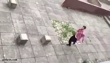 gif (17)