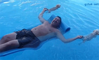 gif (20)