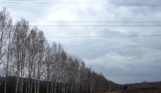gif (14)