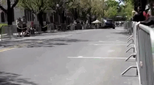 gif (17)
