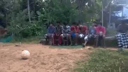 gif (25)