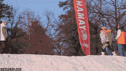 gif (28)