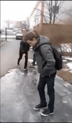 gif (29)