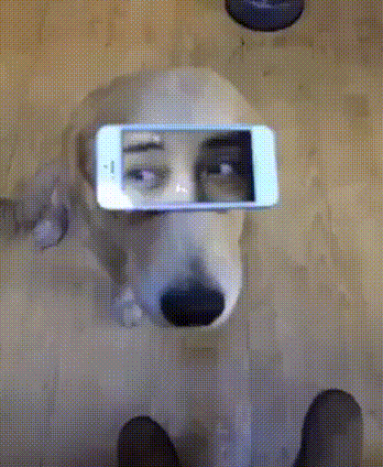 gif (30)