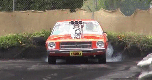 gif (11)