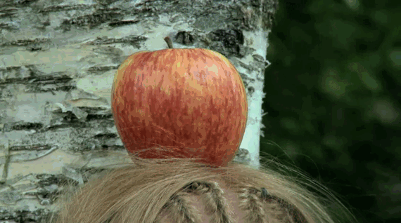gif (19)