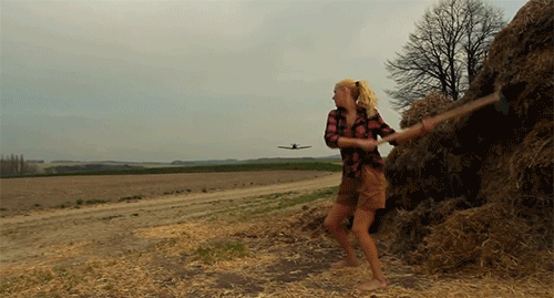 gif (4)