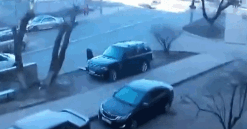 gif (7)