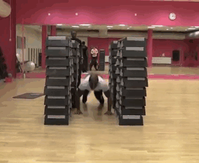 gif (13)