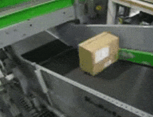 gif (19)