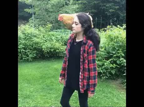 gif (10)