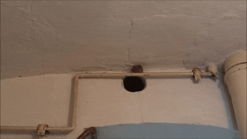 gif (14)