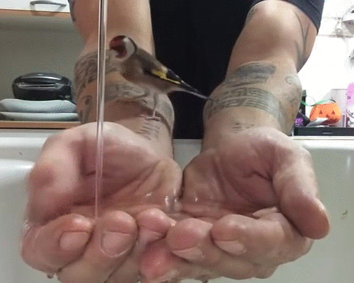 gif (15)