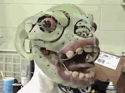 gif (2)