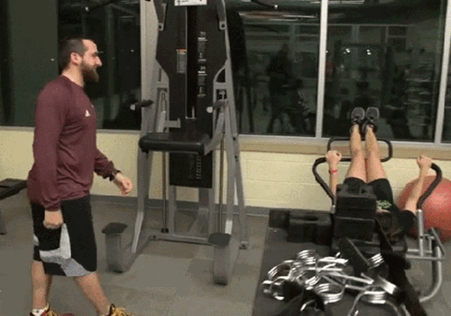 gif (2)