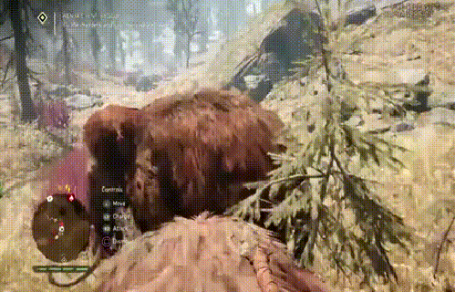 gif (3)