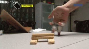 gif (2)
