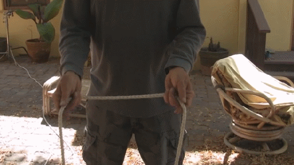 gif (2)