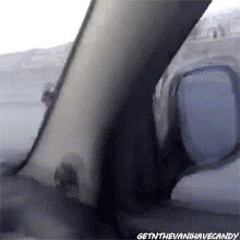 gif (4)