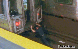 gif (5)