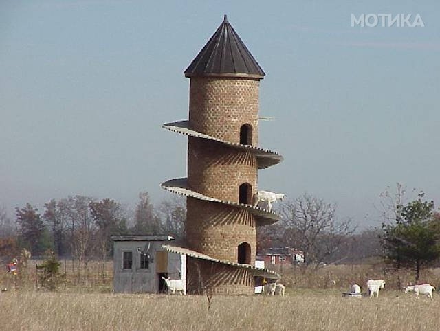 nesekoj (99)
