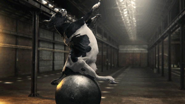 gif (1)