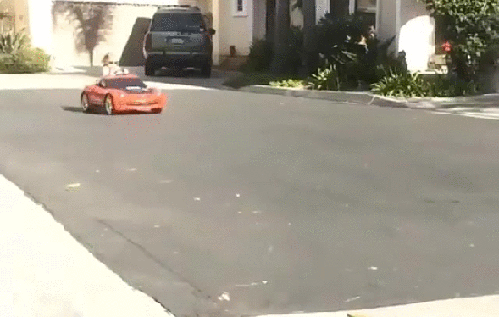 gif (4)