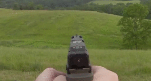 gif (6)