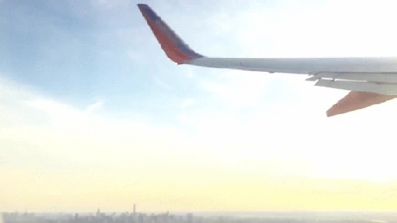 gif (7)