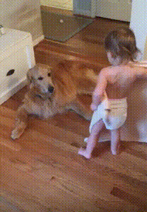 gif (10)