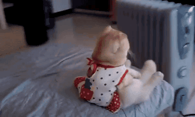 gif (13)