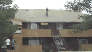 gif (24)