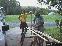 gif (4)