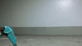 gif (8)
