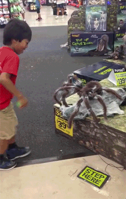 gif (9)