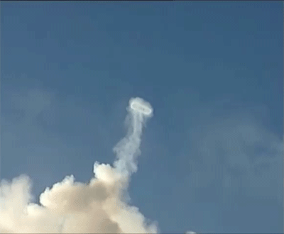 gif (14)