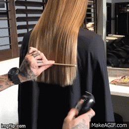 gif (2)