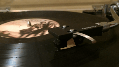 gif (6)