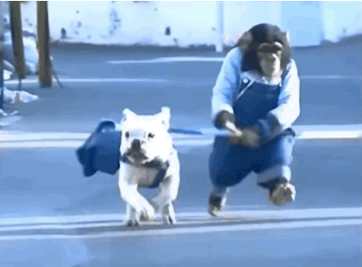 gif (8)