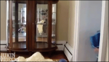 gif (9)
