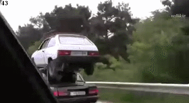 gif (11)