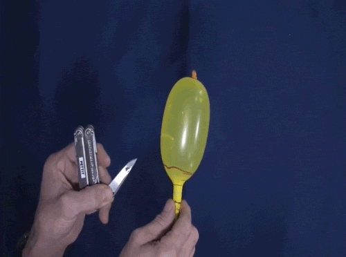 gif (14)