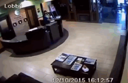 gif (2)