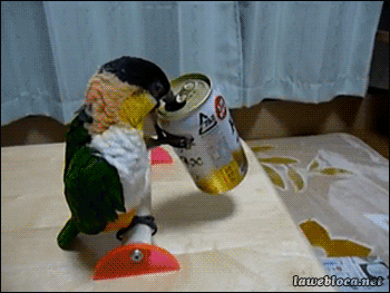 gif (10)