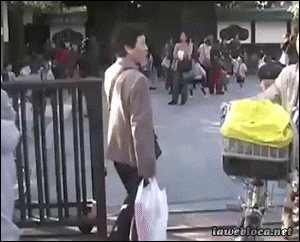 gif (12)