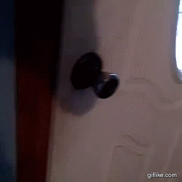 gif (29)
