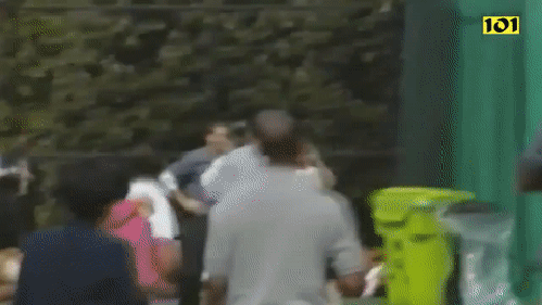 gif (3)
